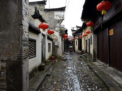 为什么没有猪奶？